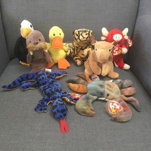 8 Beanie Babies - Lot#1